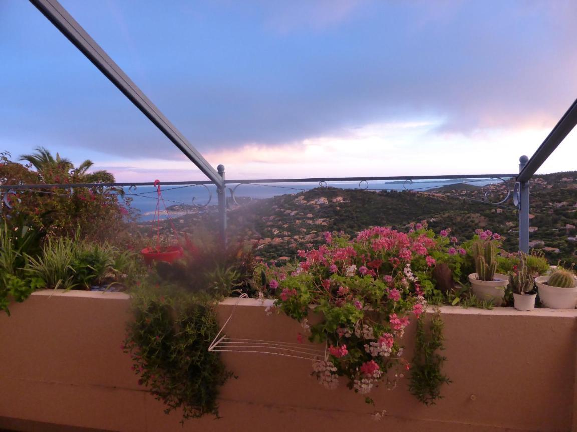 Coeurs de Pirates: Exotic Provencal Spa Retreat Cavalaire-sur-Mer Exterior photo