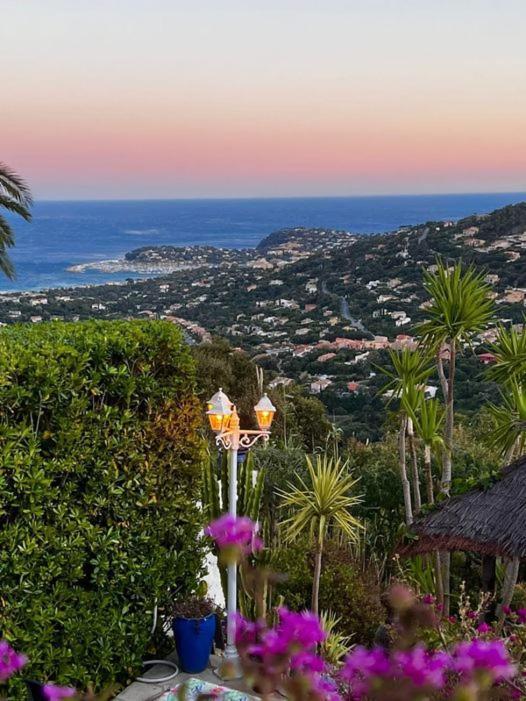 Coeurs de Pirates: Exotic Provencal Spa Retreat Cavalaire-sur-Mer Exterior photo