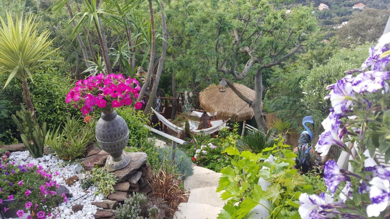 Coeurs de Pirates: Exotic Provencal Spa Retreat Cavalaire-sur-Mer Exterior photo