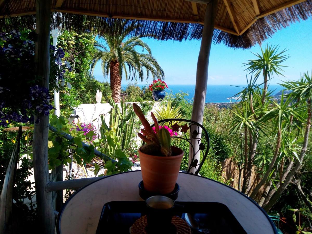 Coeurs de Pirates: Exotic Provencal Spa Retreat Cavalaire-sur-Mer Exterior photo
