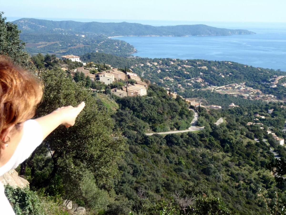 Coeurs de Pirates: Exotic Provencal Spa Retreat Cavalaire-sur-Mer Exterior photo